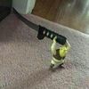 youstinkypoopyhead