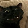 mistyjay00