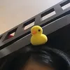 acxzyxs