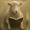 leitura48