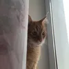 milo_rrrrr