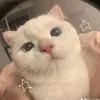 vhemmmyyy
