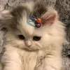 kitkvs