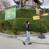daiduong246