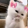 fadhilah_nur_