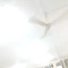 kelanakemana_