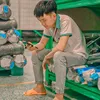 lehoangmy997