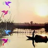 phongkute0