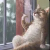 p0tat0salad0