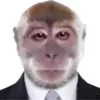 kkoll02