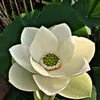 daisyhappiness05