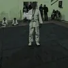 prudnik_dikarb8