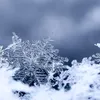 veranguyen07