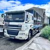 cat491603