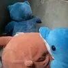 zazasbf