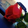 user0211317