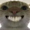 tuilanhu_u