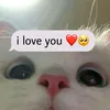 gribochek_60