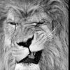 emreer84