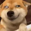 duongblue509