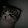 agnesdf_