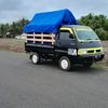 damar_ketok31