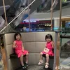 thi_thi255