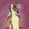 laim.fox