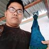 kingbobmedan