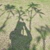 reviazhari0