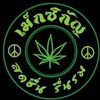 420chicano