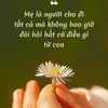 thuytien_19.90