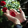 taraneh555