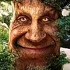 _tenech_