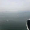 duongzzduong