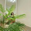 lynnie.vn