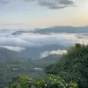 _bii275
