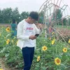 dohiep94