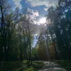 8_yliana_8
