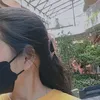 a.raseekul