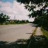whatthafact02