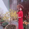 ti_ti0802