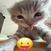 mel.tmk