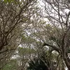 agusriyadi602