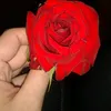 mwrtkbrdr