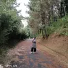elvantymariaazhary6