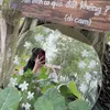 phuongne_02