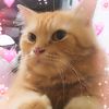 mommycat95