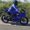 mulyadi_481