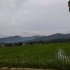desiernawati78